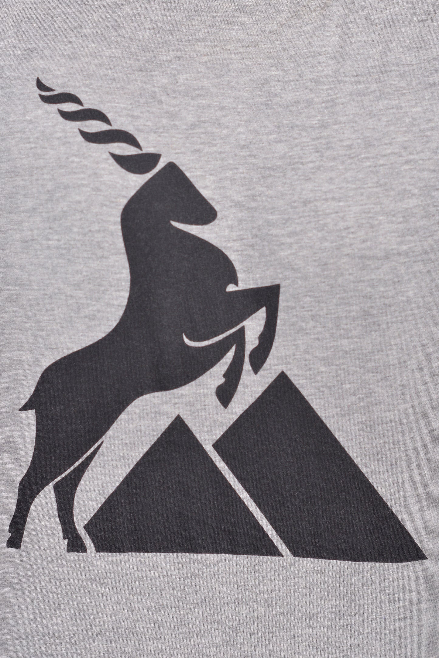 MLS - Men’s Round Neck Graphic Tee shirt (MLSMRNGT24)