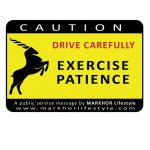 MLS - Road Safety Car Stickers (EP)